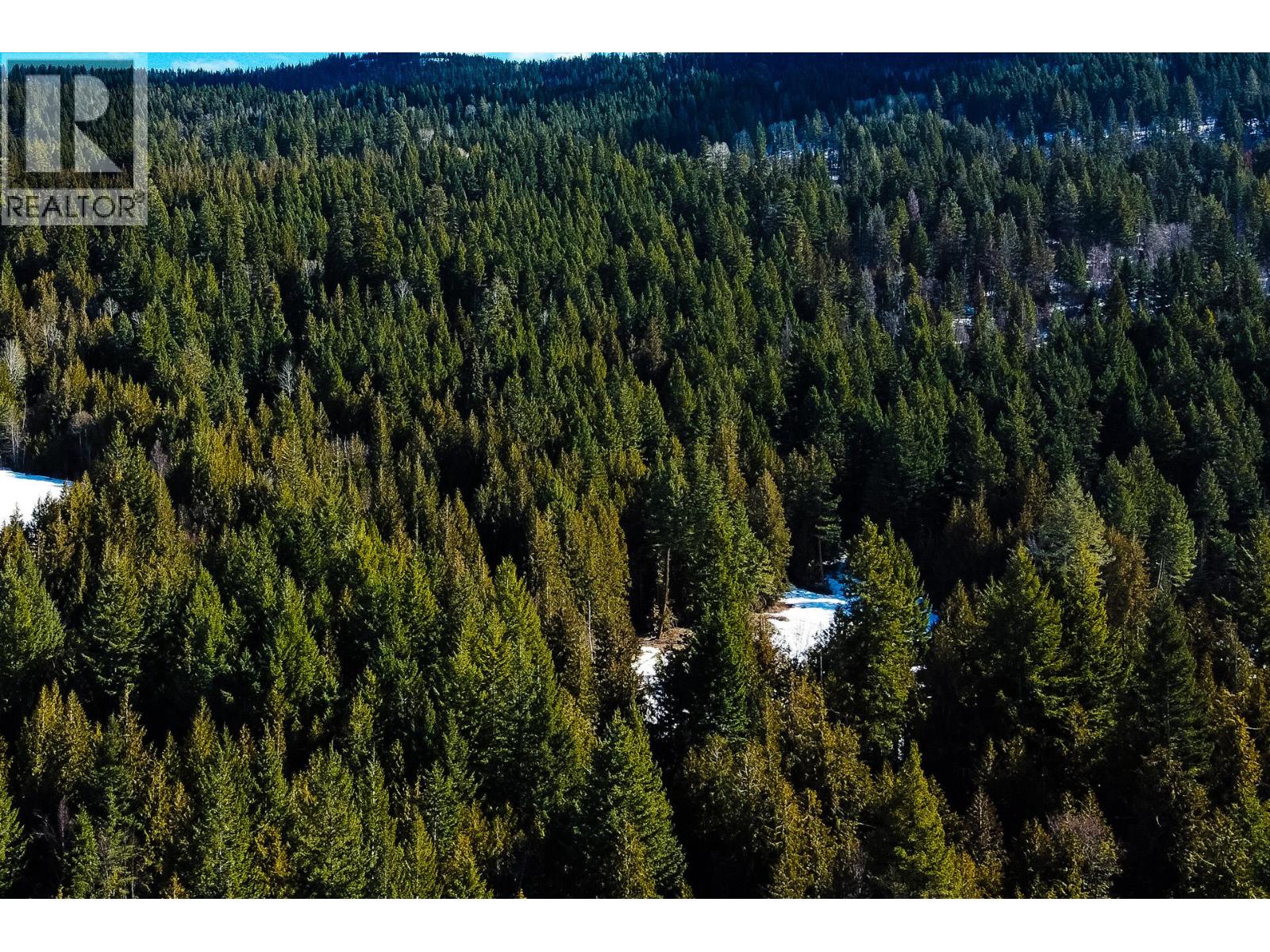 6051 Oyama Lake Road, Oyama, British Columbia  V4V 2C9 - Photo 14 - 10378898