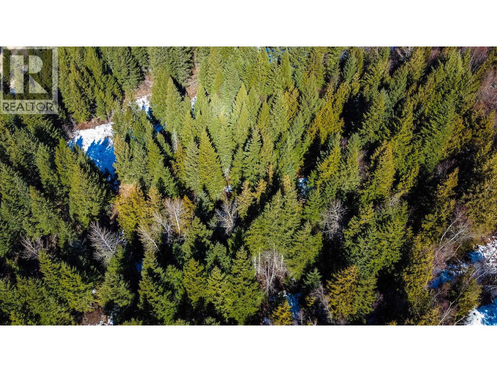 6051 Oyama Lake Road, Oyama, British Columbia  V4V 2C9 - Photo 15 - 10378898