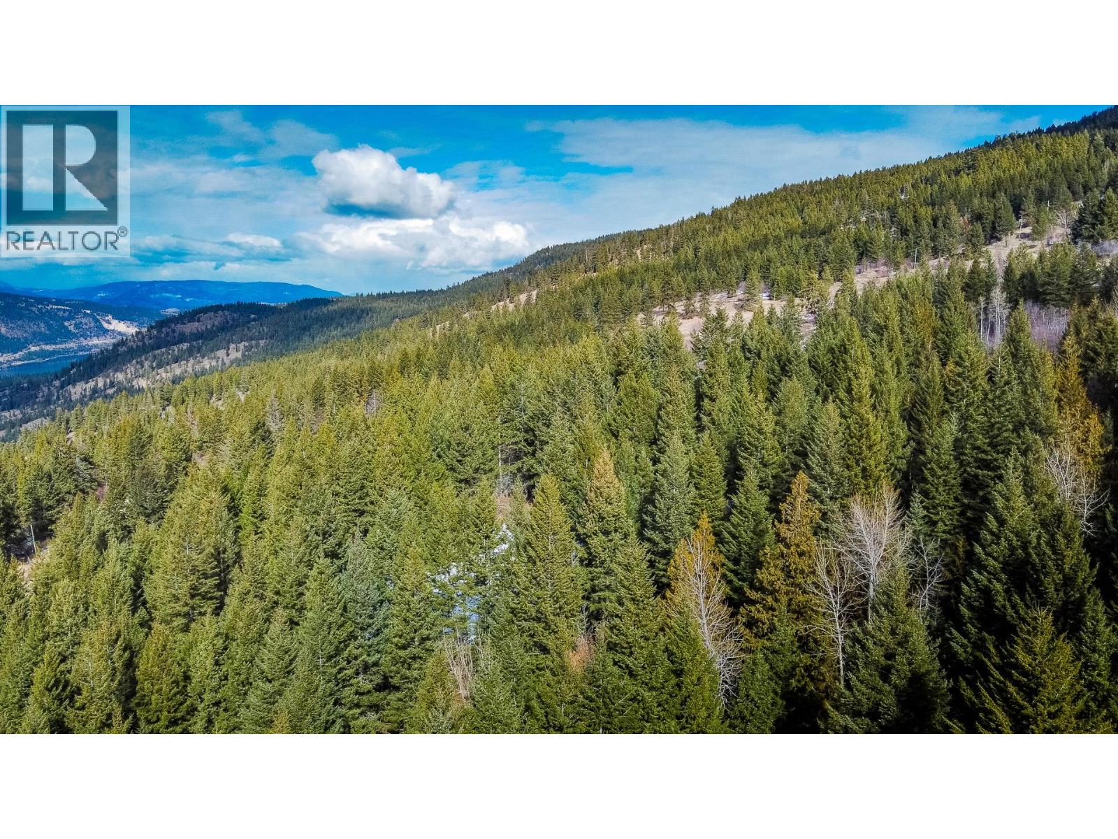 6051 Oyama Lake Road, Oyama, British Columbia  V4V 2C9 - Photo 37 - 10378898