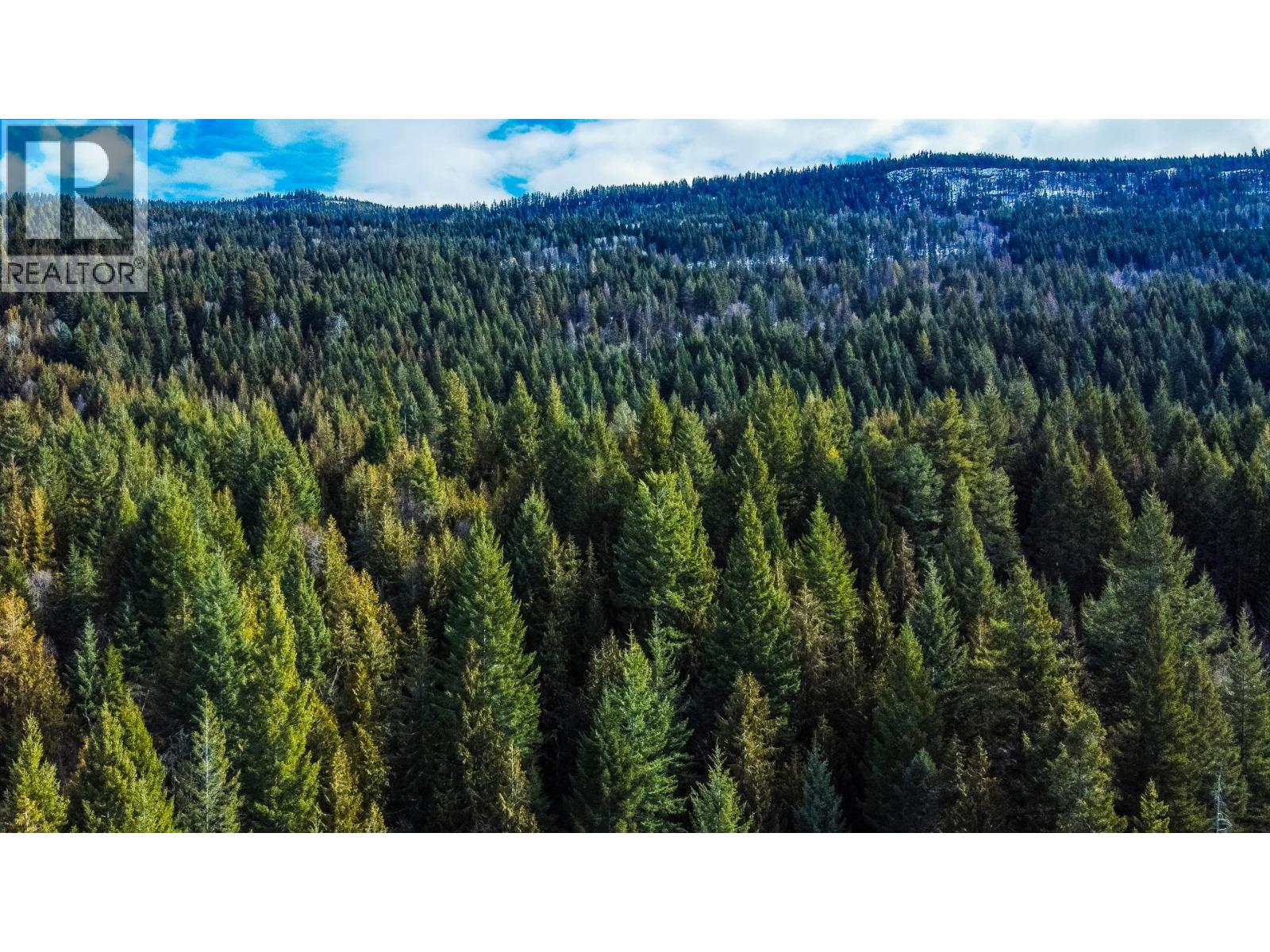 6051 Oyama Lake Road, Oyama, British Columbia  V4V 2C9 - Photo 38 - 10378898