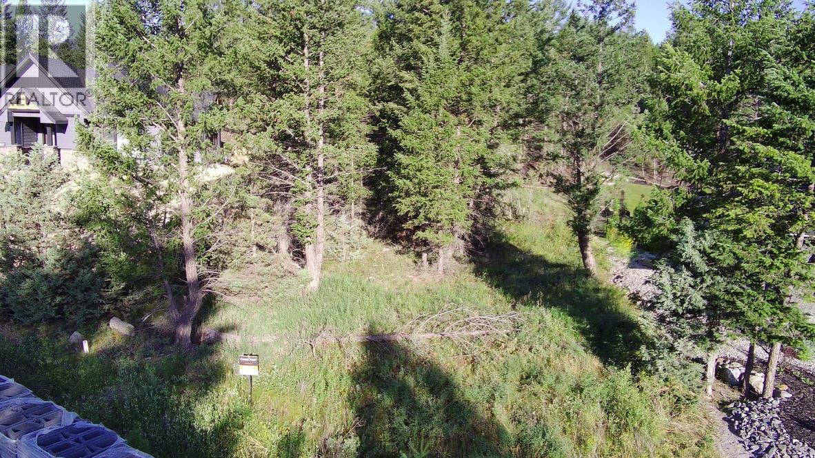 Cooper Road Lot# 24, Windermere, British Columbia  V0A 1K2 - Photo 12 - 10378817