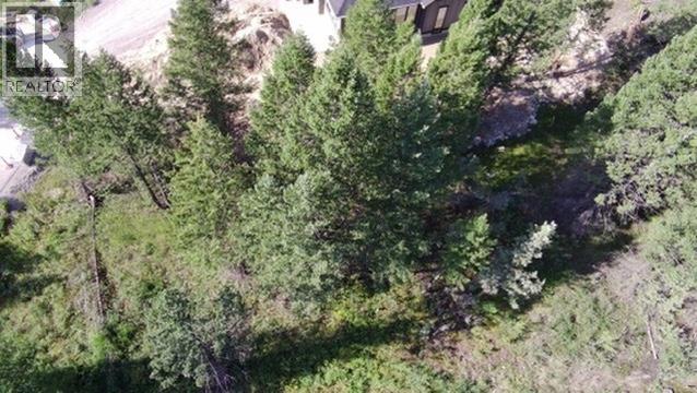 Cooper Road Lot# 24, Windermere, British Columbia  V0A 1K2 - Photo 15 - 10378817