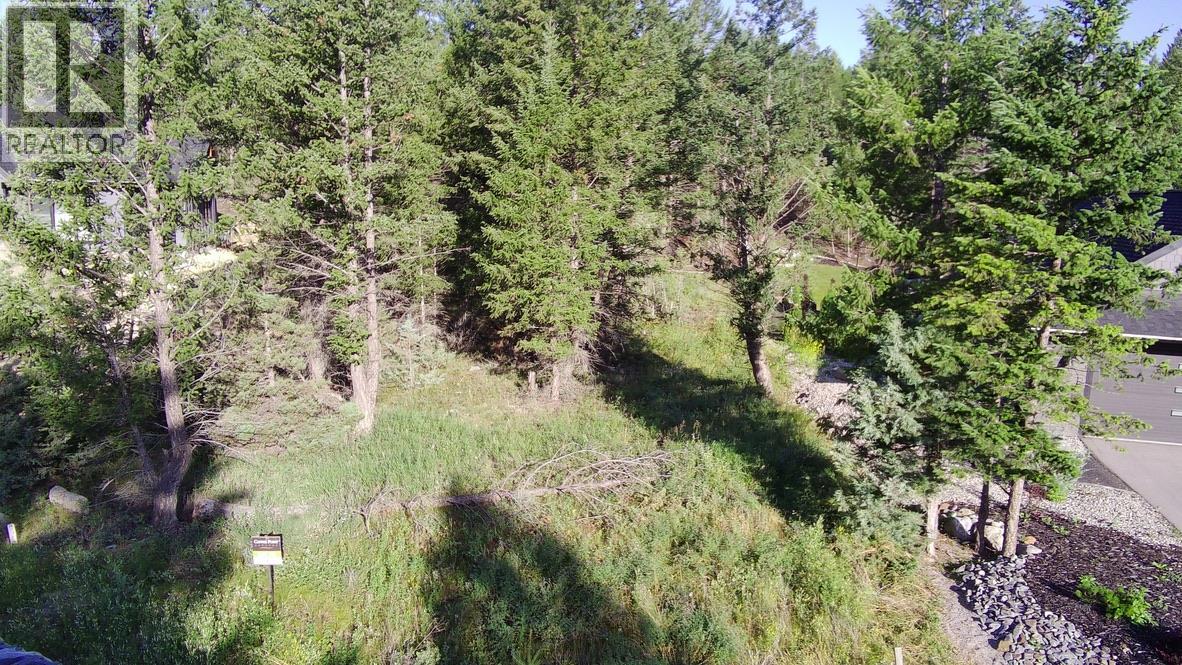 Cooper Road Lot# 24, Windermere, British Columbia  V0A 1K2 - Photo 6 - 10378817