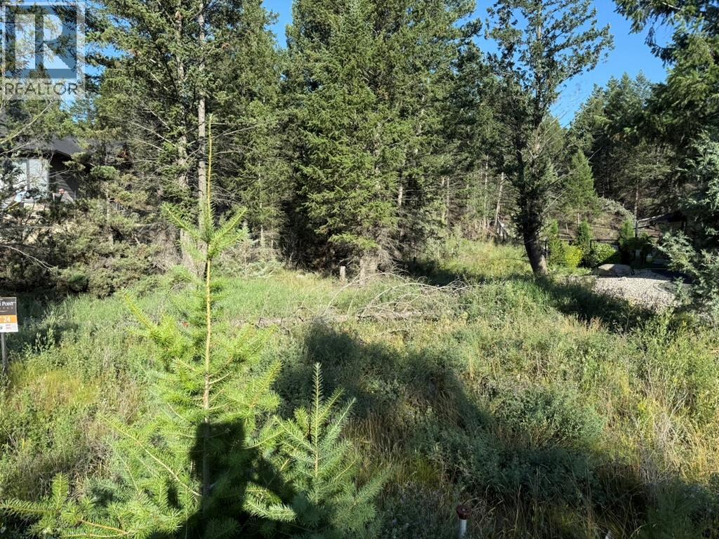 Cooper Road Lot# 24, Windermere, British Columbia  V0A 1K2 - Photo 7 - 10378817