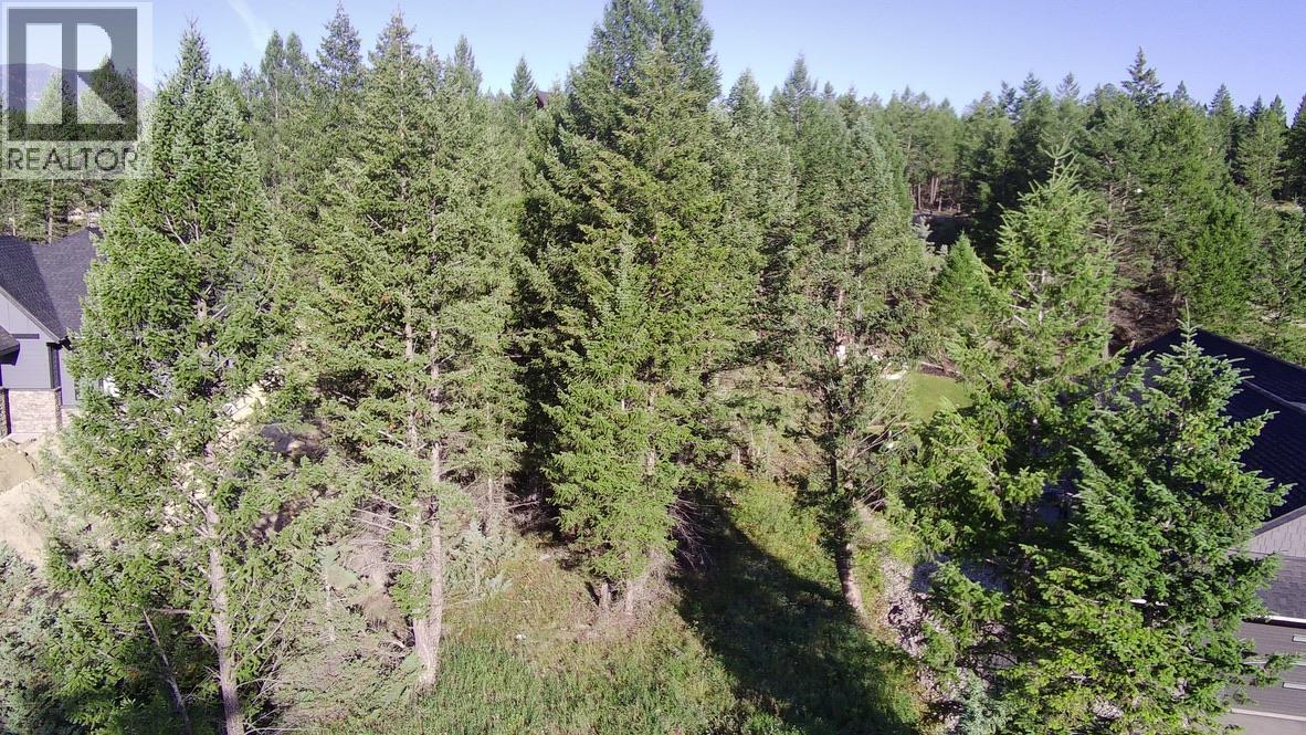 Cooper Road Lot# 24, Windermere, British Columbia  V0A 1K2 - Photo 9 - 10378817