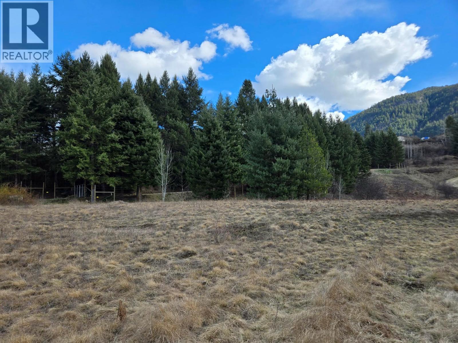 Lot 5 Bridgeview Road, Castlegar, British Columbia  V1N 4K9 - Photo 7 - 10378831