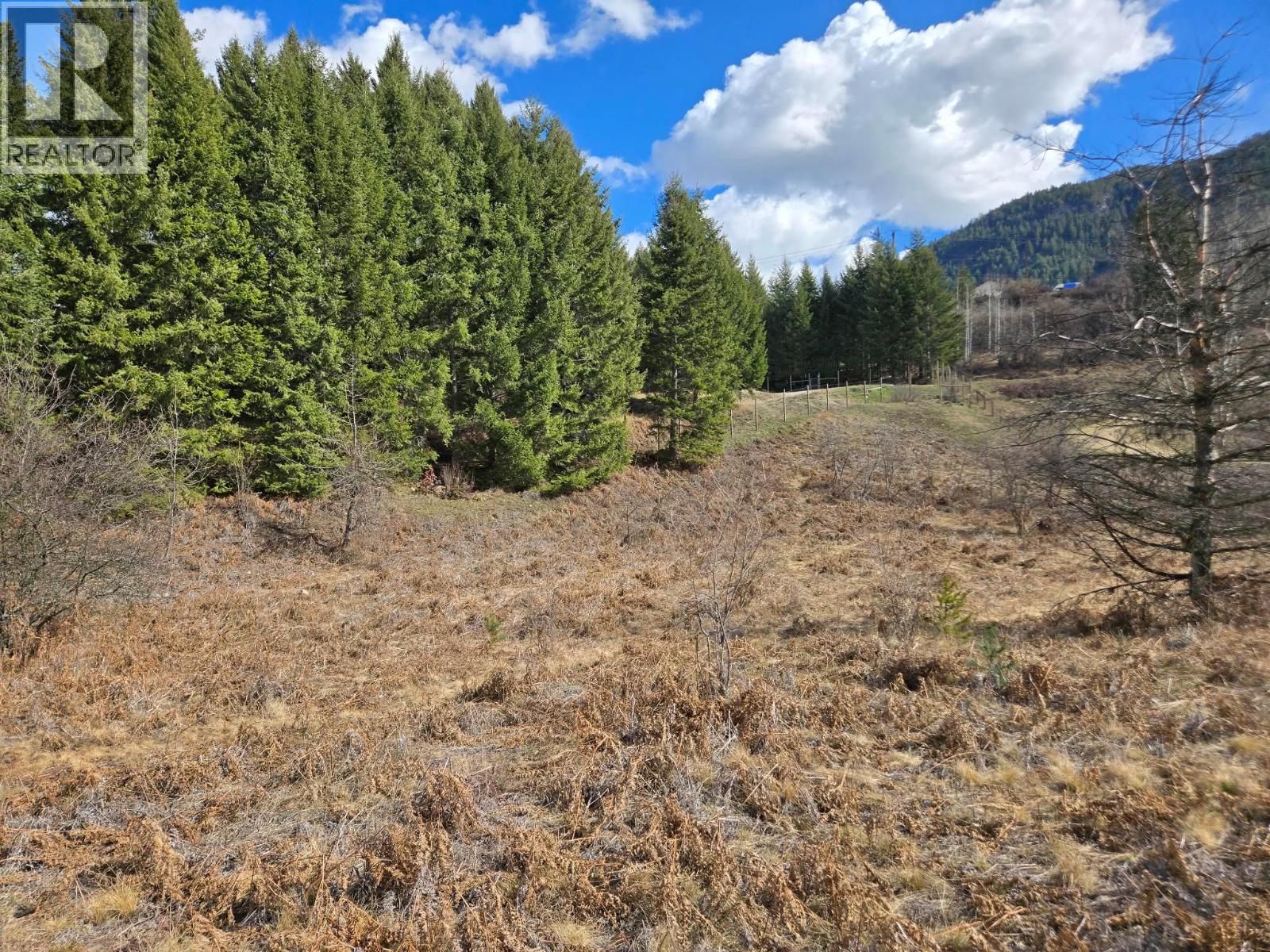 Lot 4 Bridgeview Road, Castlegar, British Columbia  V1N 4K9 - Photo 12 - 10378746
