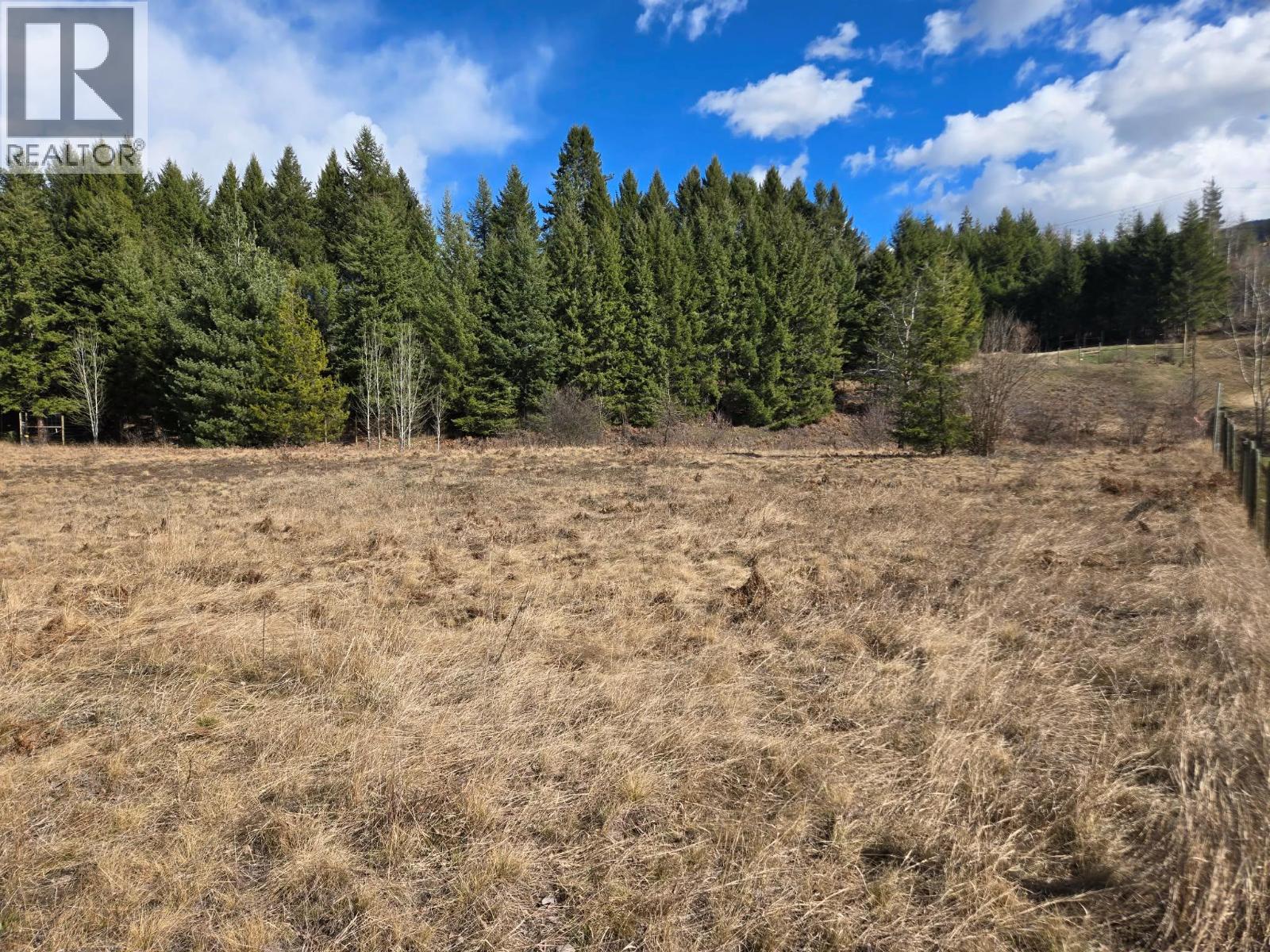 Lot 4 Bridgeview Road, Castlegar, British Columbia  V1N 4K9 - Photo 9 - 10378746