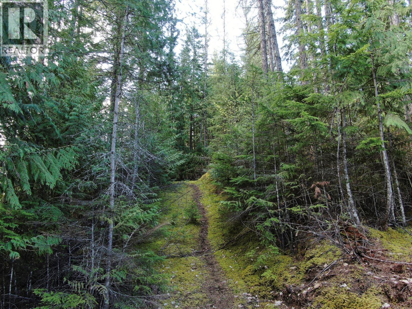 Balfour Avenue Lot# Lot 8, Kaslo, British Columbia  V0G 1M0 - Photo 5 - 10378782