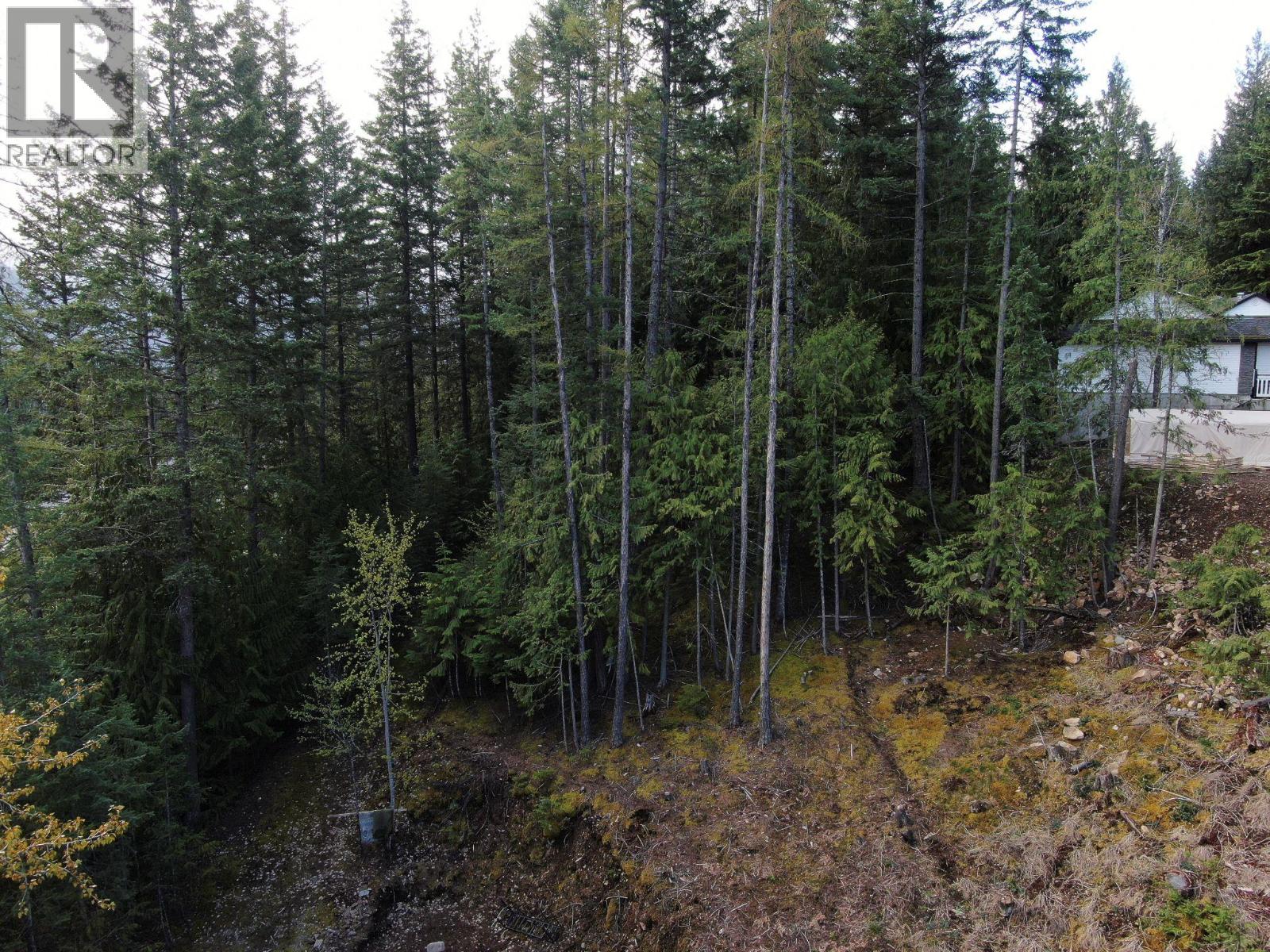 Balfour Avenue Lot# Lot 8, Kaslo, British Columbia  V0G 1M0 - Photo 9 - 10378782