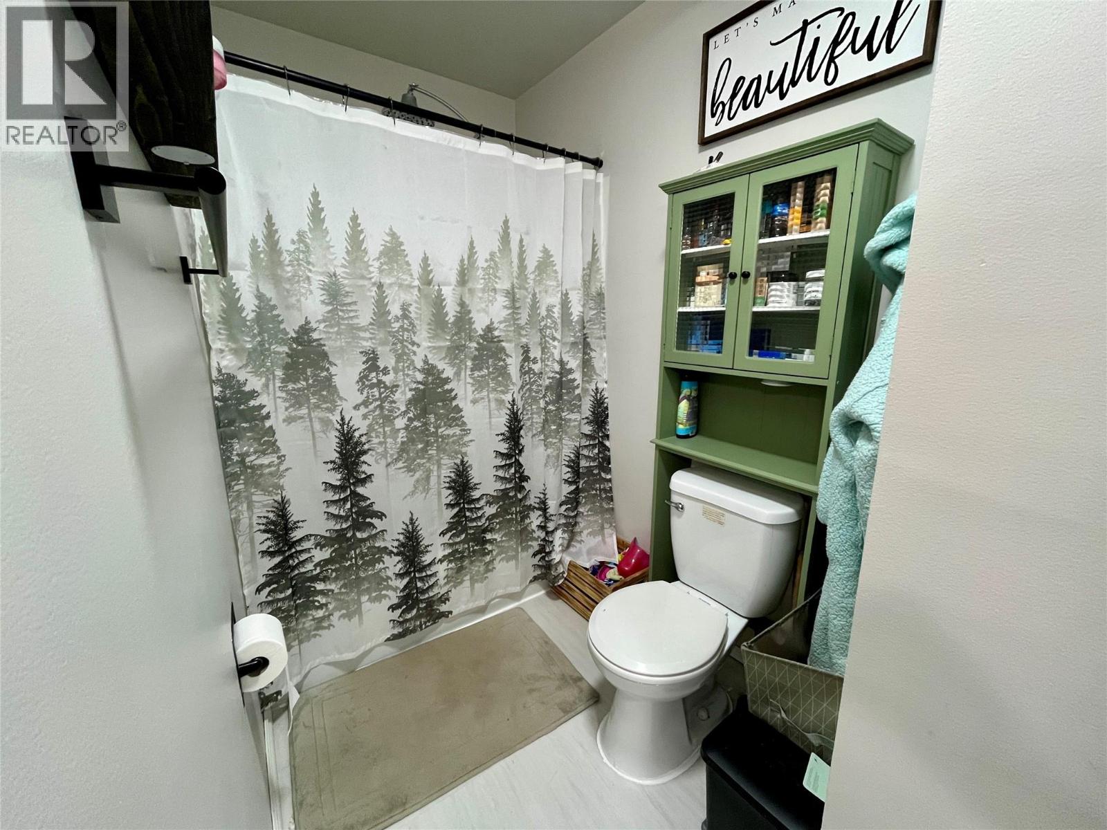 320 Willow Drive, Tumbler Ridge, British Columbia  V0C 2W0 - Photo 4 - 10378763