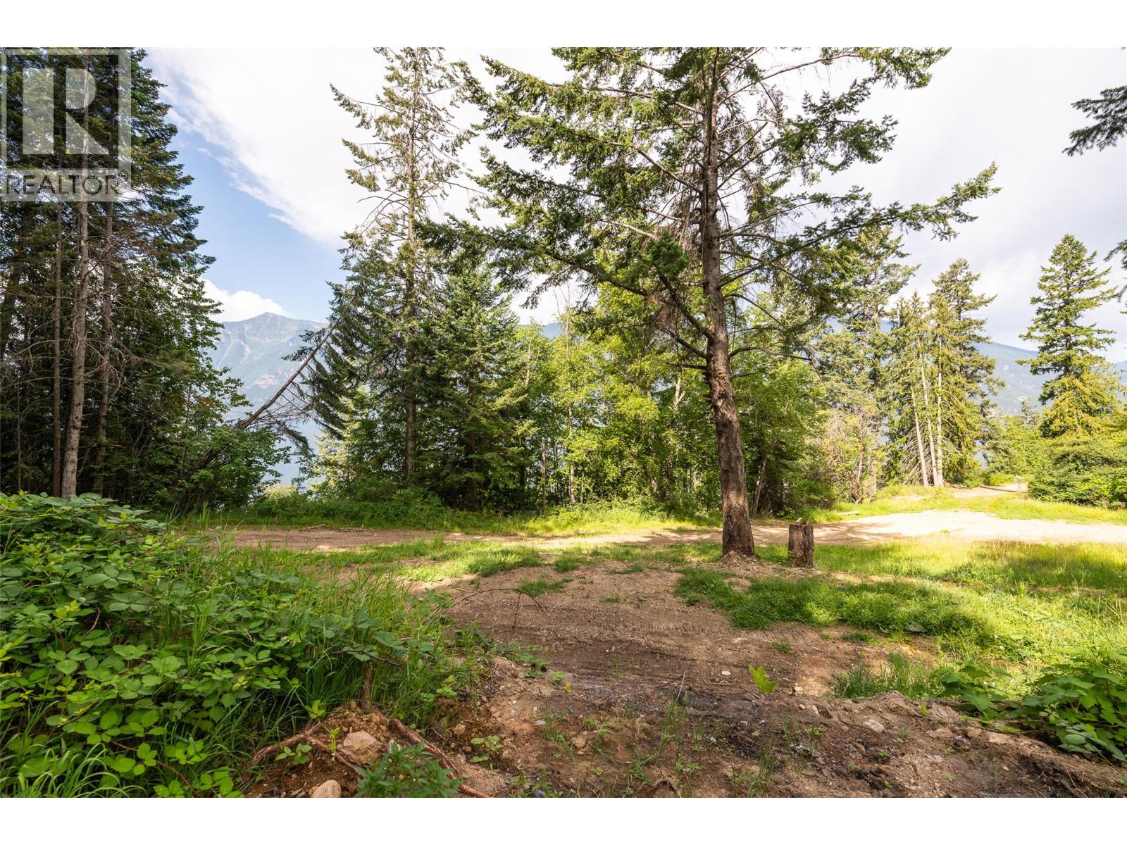 13828 3a Highway, Gray Creek, British Columbia  V0B 1S0 - Photo 24 - 10378420