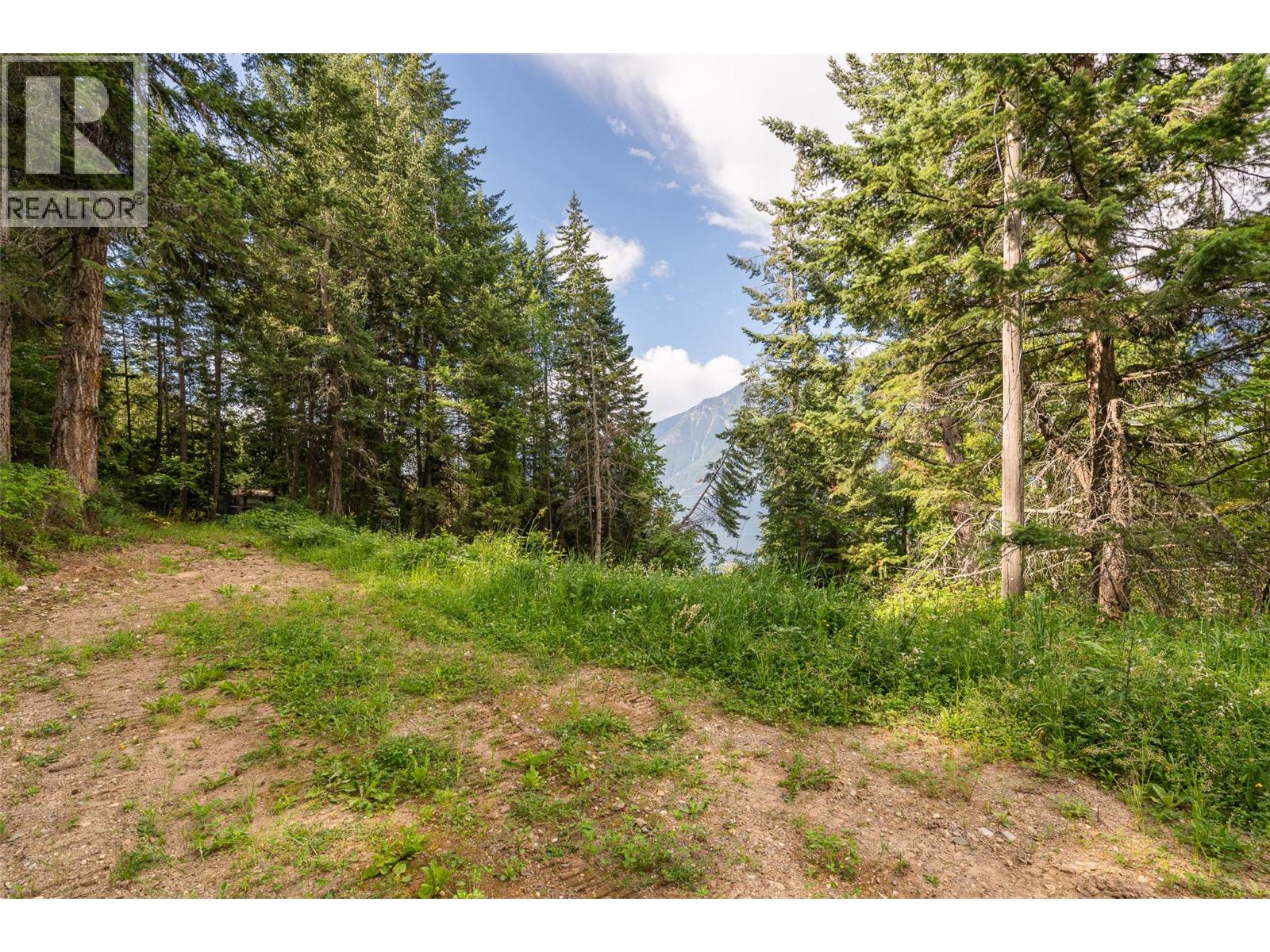 13828 3a Highway, Gray Creek, British Columbia  V0B 1S0 - Photo 27 - 10378420