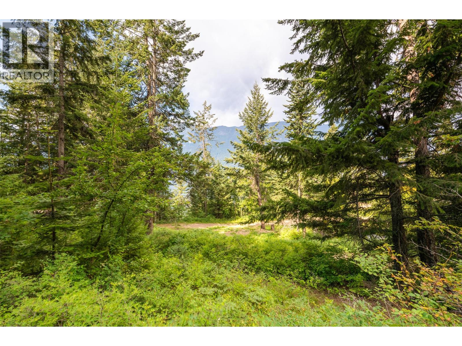 13828 3a Highway, Gray Creek, British Columbia  V0B 1S0 - Photo 28 - 10378420