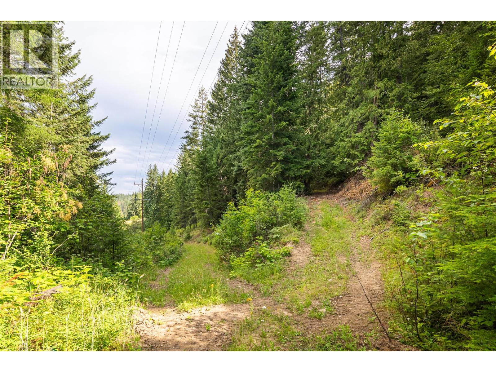 13828 3a Highway, Gray Creek, British Columbia  V0B 1S0 - Photo 29 - 10378420