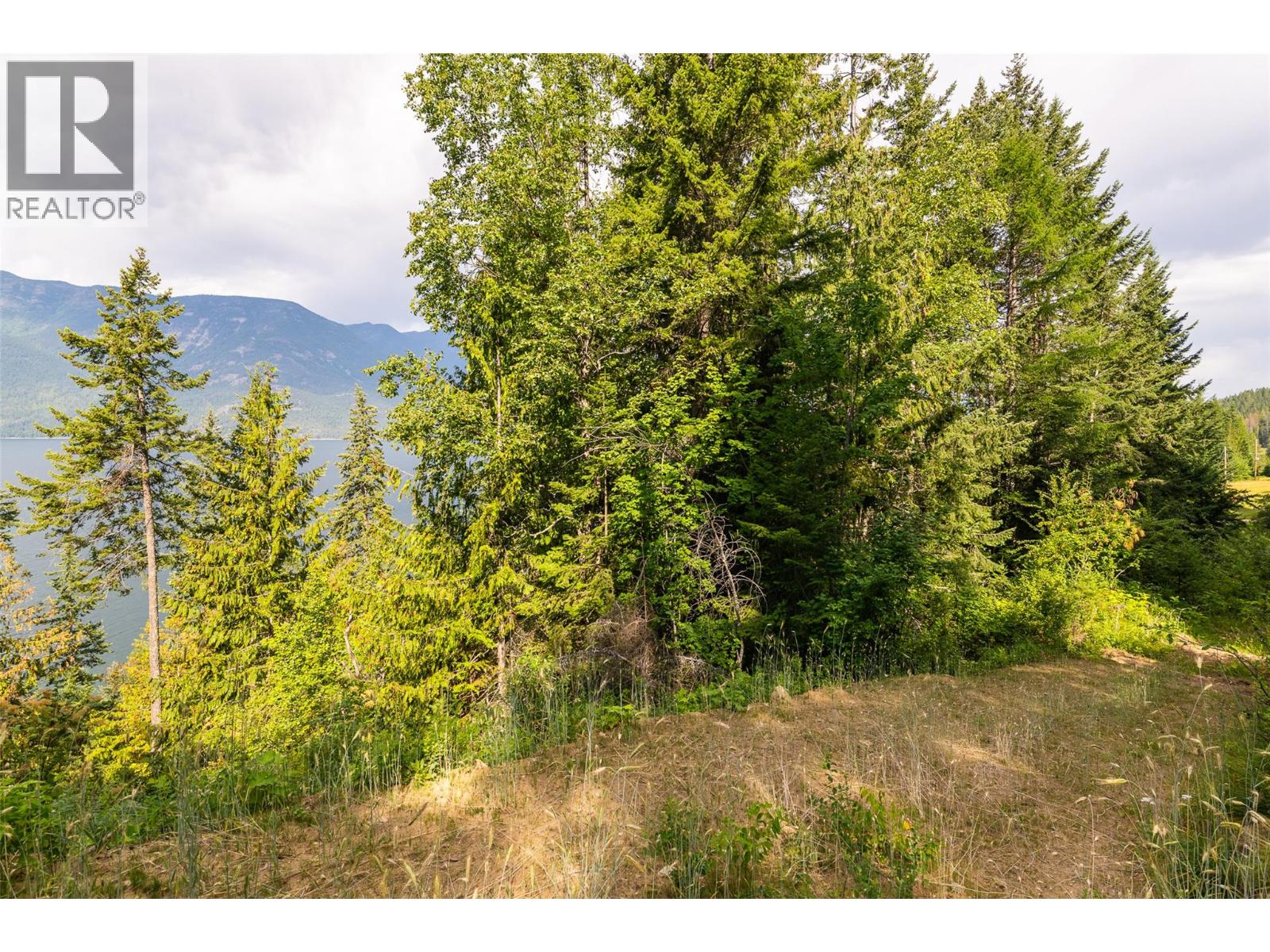 13828 3a Highway, Gray Creek, British Columbia  V0B 1S0 - Photo 30 - 10378420