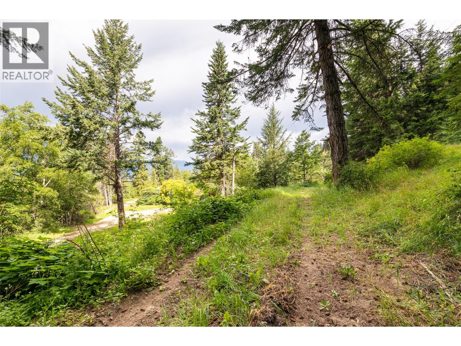 13828 3a Highway, Gray Creek, British Columbia  V0B 1S0 - Photo 32 - 10378420