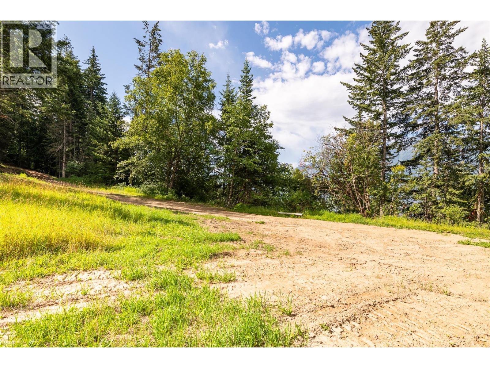 13828 3a Highway, Gray Creek, British Columbia  V0B 1S0 - Photo 38 - 10378420