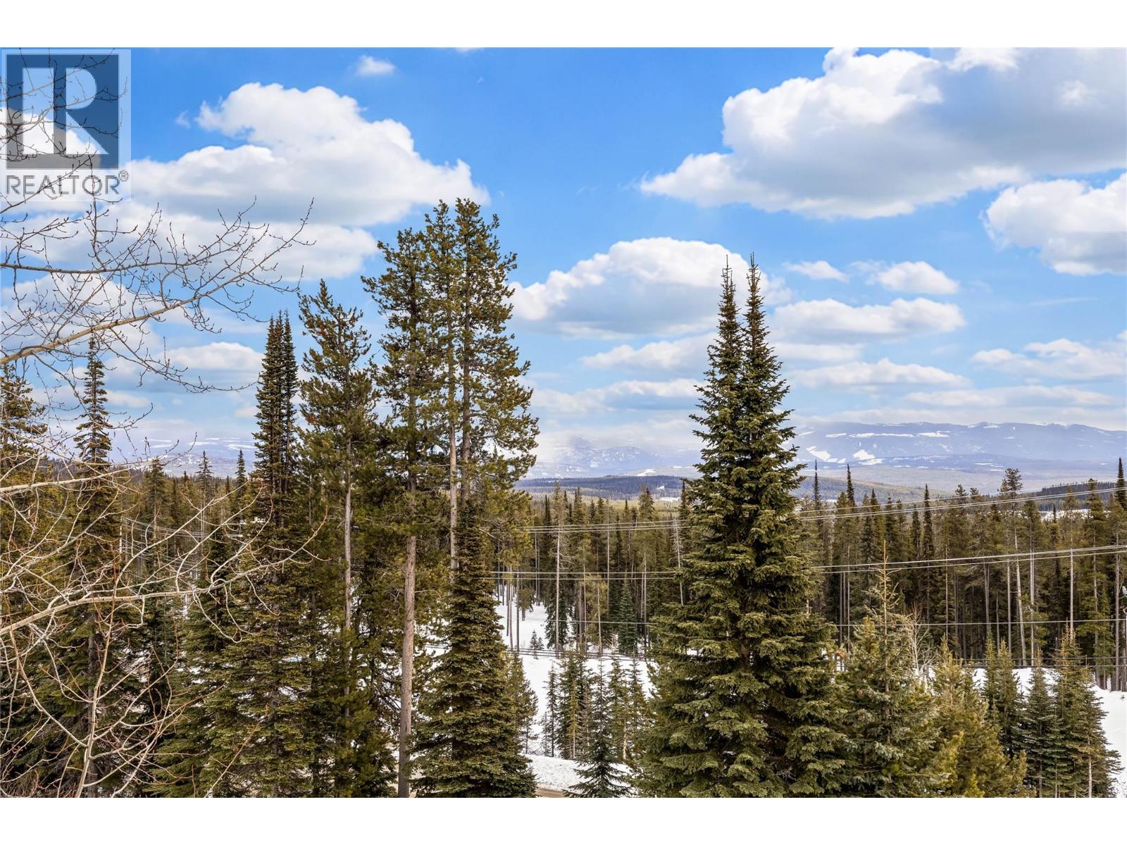 4857 Snow Pines Road, Big White, British Columbia  V1P 1P3 - Photo 29 - 10378999