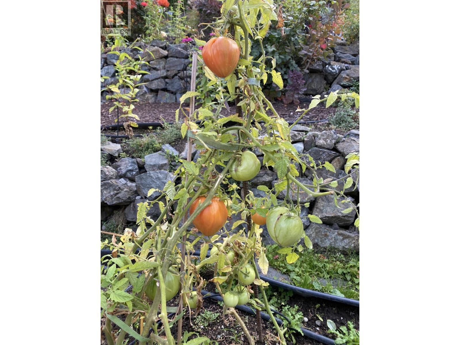 11714 Quail Ridge Place, Osoyoos, British Columbia  V0H 1V4 - Photo 28 - 10378906