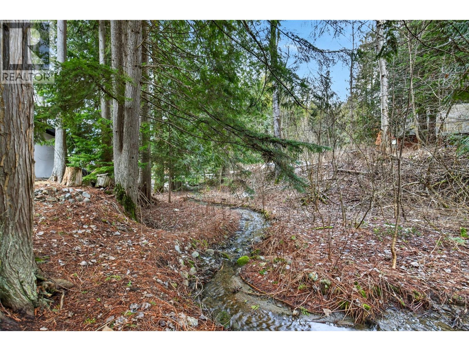3025 Camozzi Road, Revelstoke, British Columbia  V0E 2S3 - Photo 45 - 10379149