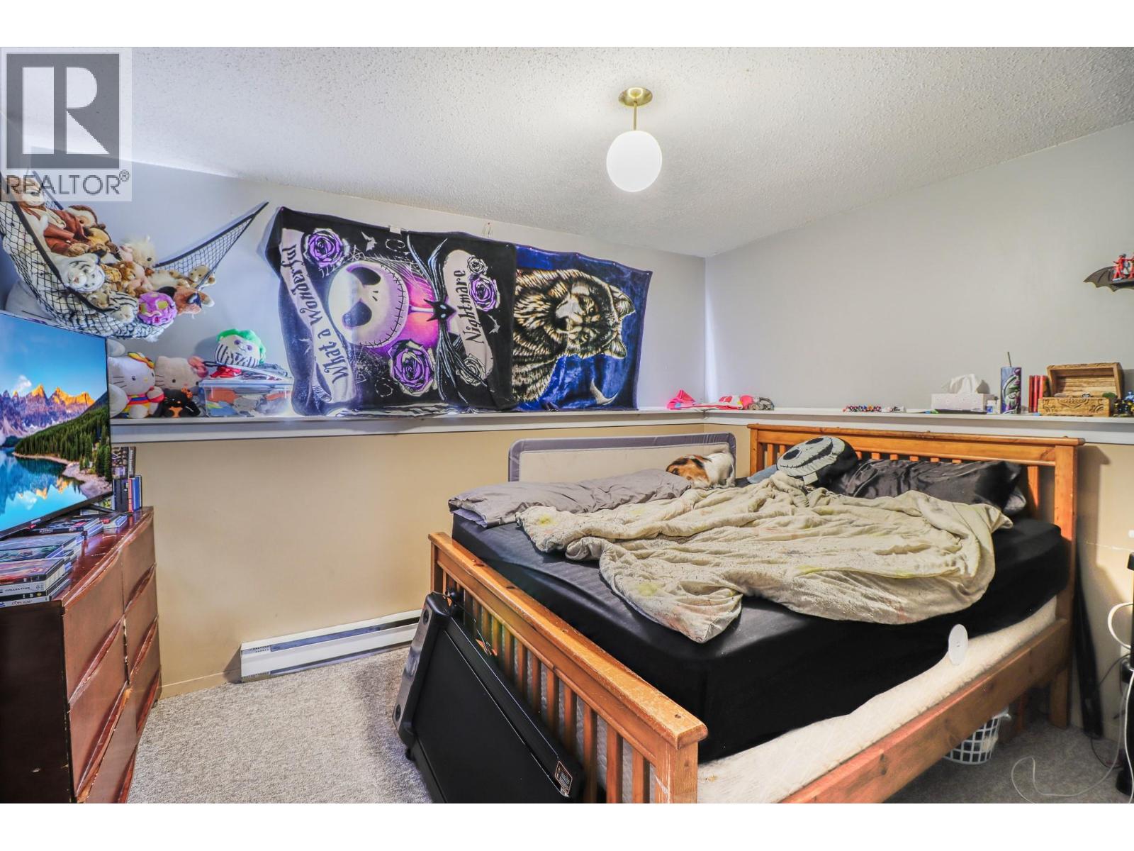 1121 8 Avenue S, Cranbrook, British Columbia  V1C 5J6 - Photo 19 - 10378987