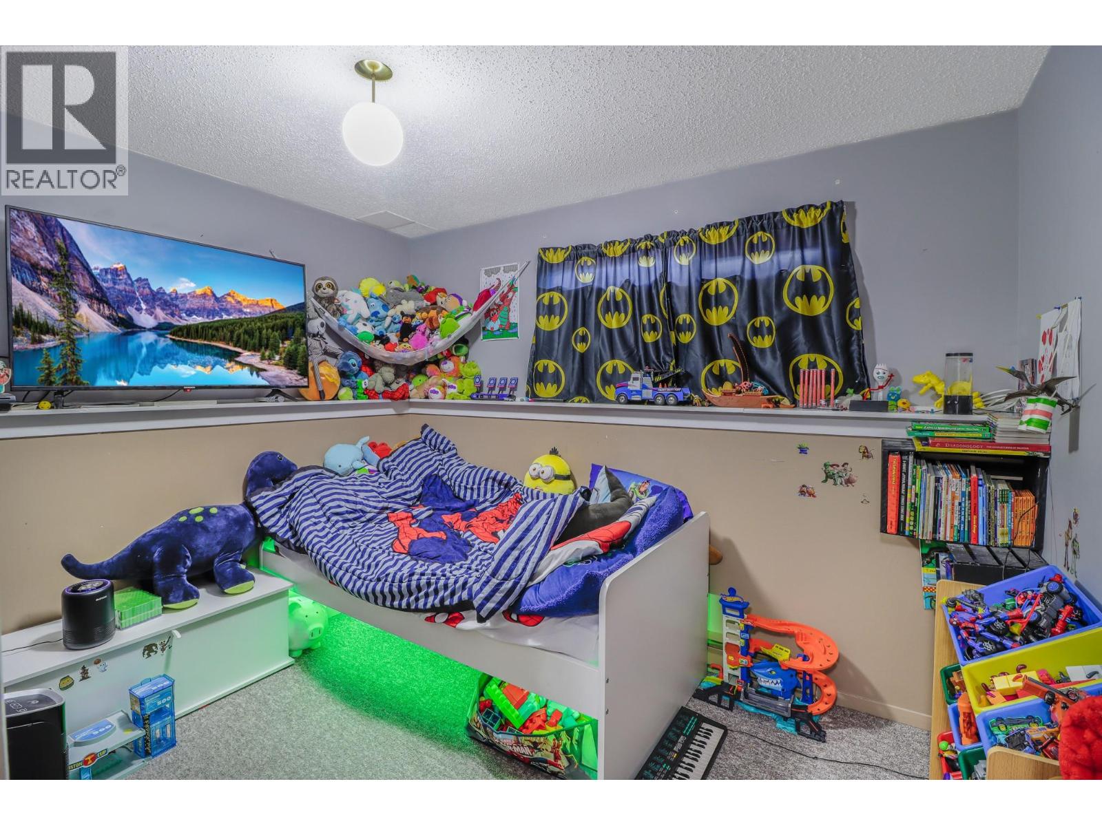 1121 8 Avenue S, Cranbrook, British Columbia  V1C 5J6 - Photo 22 - 10378987