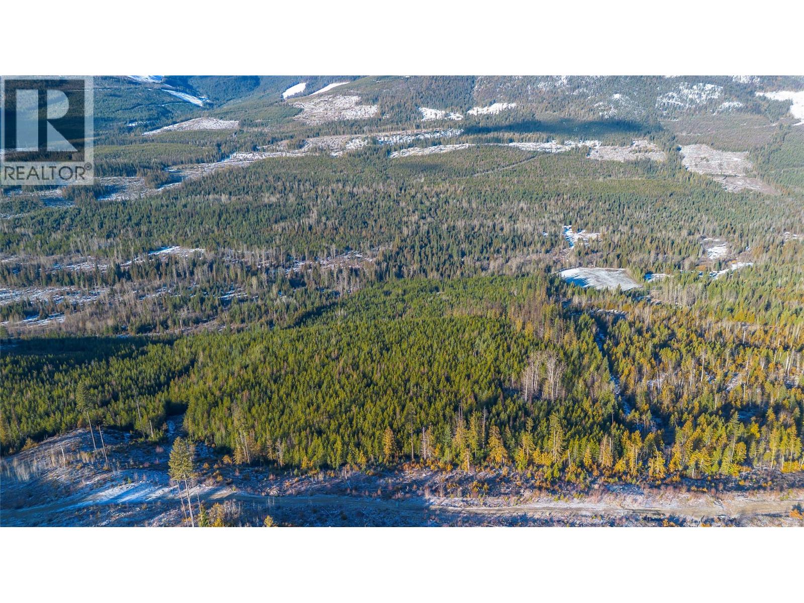 2301 Trinity Valley Road, Lumby, British Columbia  V0E 2G4 - Photo 26 - 10378610