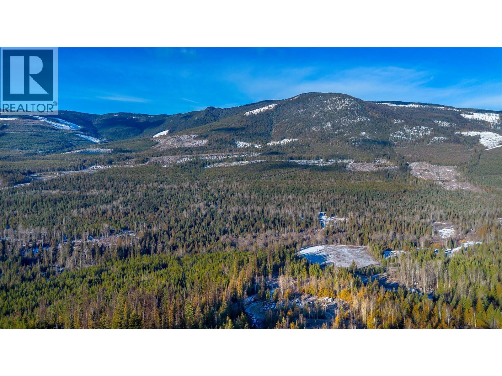 2301 Trinity Valley Road, Lumby, British Columbia  V0E 2G4 - Photo 5 - 10378610