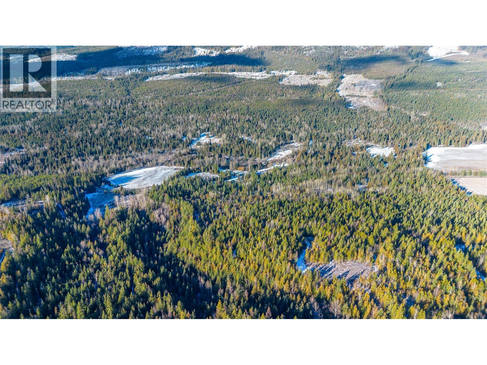 2301 Trinity Valley Road, Lumby, British Columbia  V0E 2G4 - Photo 9 - 10378610