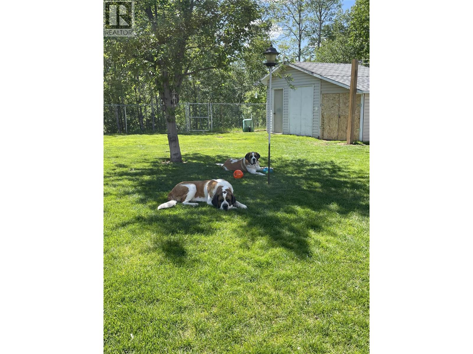 4917 45 Street Ne, Chetwynd, British Columbia  V0C 1J0 - Photo 25 - 10379090