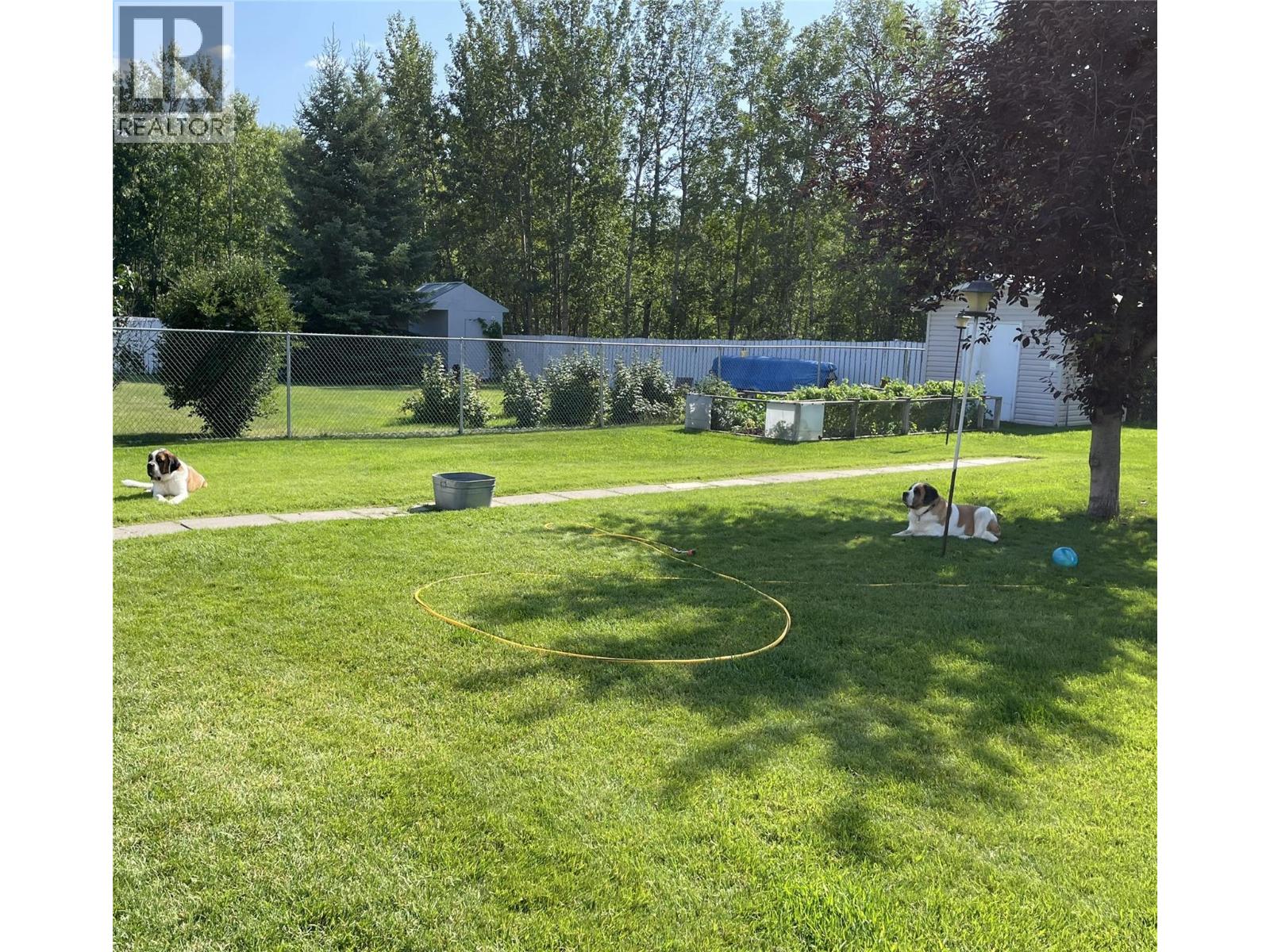 4917 45 Street Ne, Chetwynd, British Columbia  V0C 1J0 - Photo 26 - 10379090