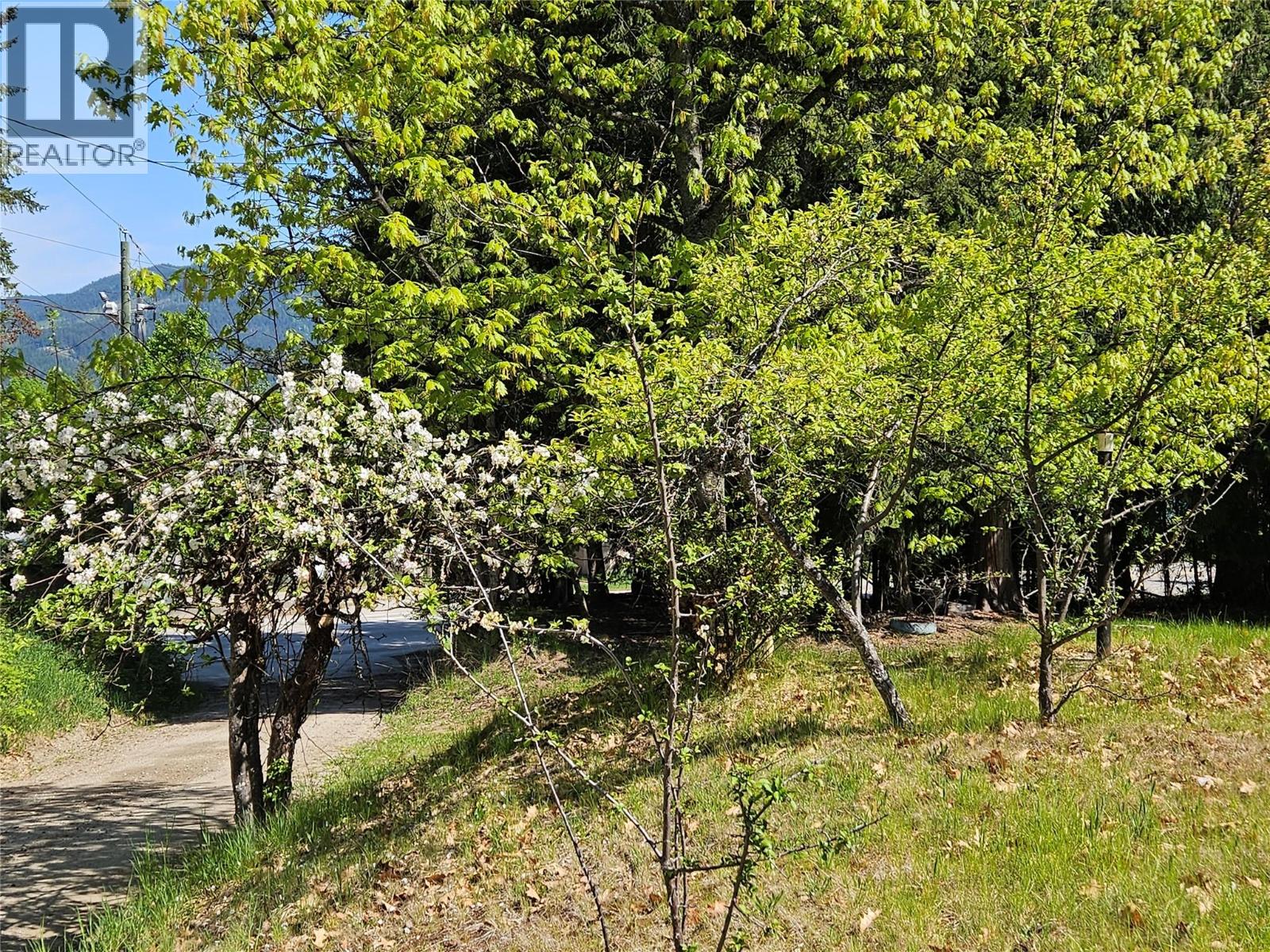 115 Lower Fauquier Road Lot# 1, Fauquier, British Columbia  V0G 1K0 - Photo 13 - 10378627