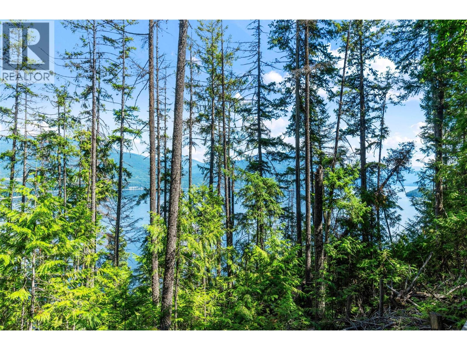 3560 Eagle Bay Road, Eagle Bay, British Columbia  V0E 1H1 - Photo 36 - 10379279