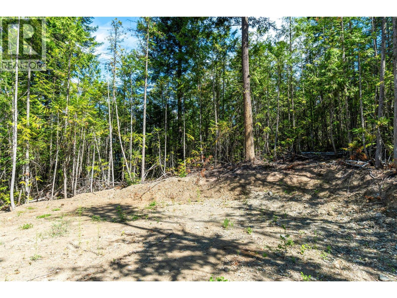 3560 Eagle Bay Road, Eagle Bay, British Columbia  V0E 1H1 - Photo 39 - 10379279