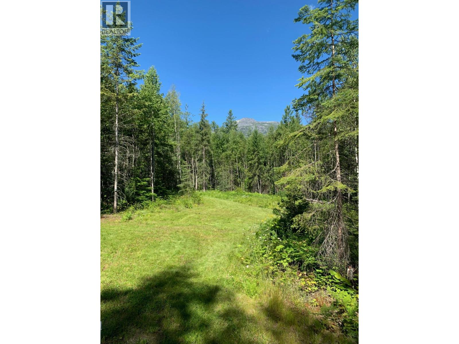 Lot 11 Mccormack Road, Burton, British Columbia  V0G 1E0 - Photo 3 - 10379137