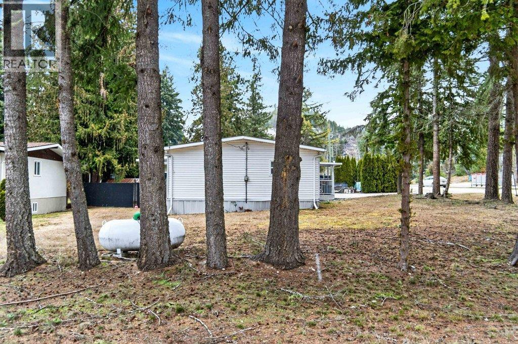 1 Wolfe Street, Sicamous, British Columbia  V0E 2V1 - Photo 91 - 10379041