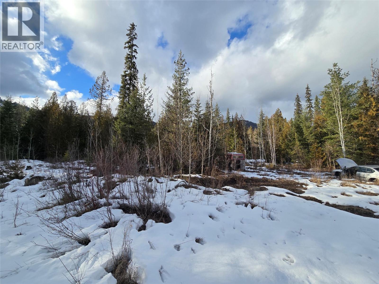 801 Bobbie Burns Road, Lumby, British Columbia  V0E 2G4 - Photo 10 - 10379307