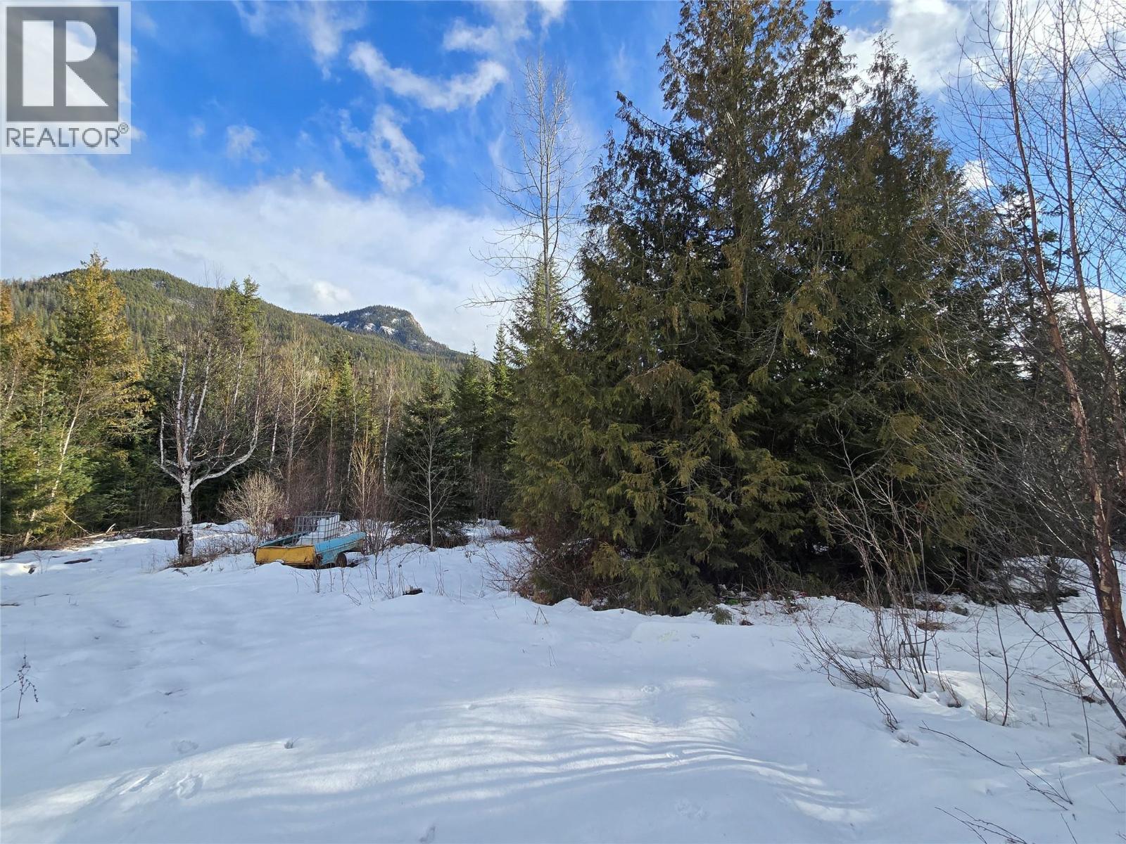 801 Bobbie Burns Road, Lumby, British Columbia  V0E 2G4 - Photo 11 - 10379307