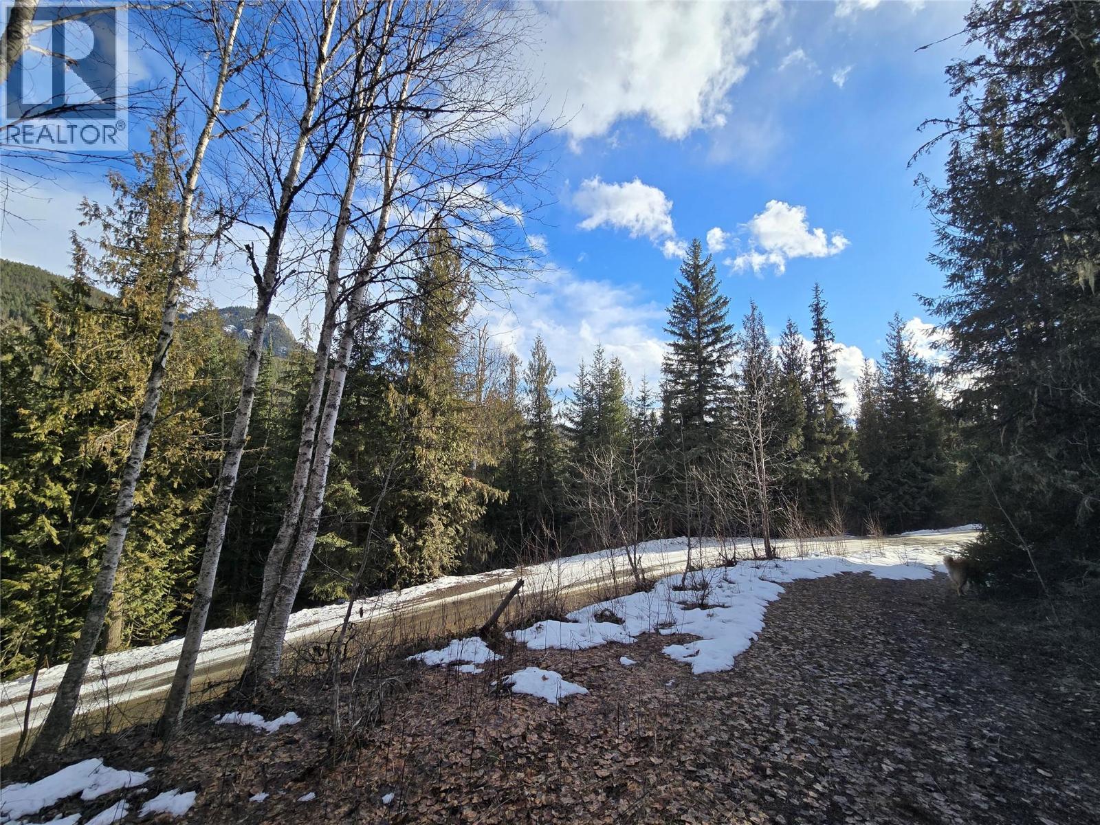 801 Bobbie Burns Road, Lumby, British Columbia  V0E 2G4 - Photo 12 - 10379307