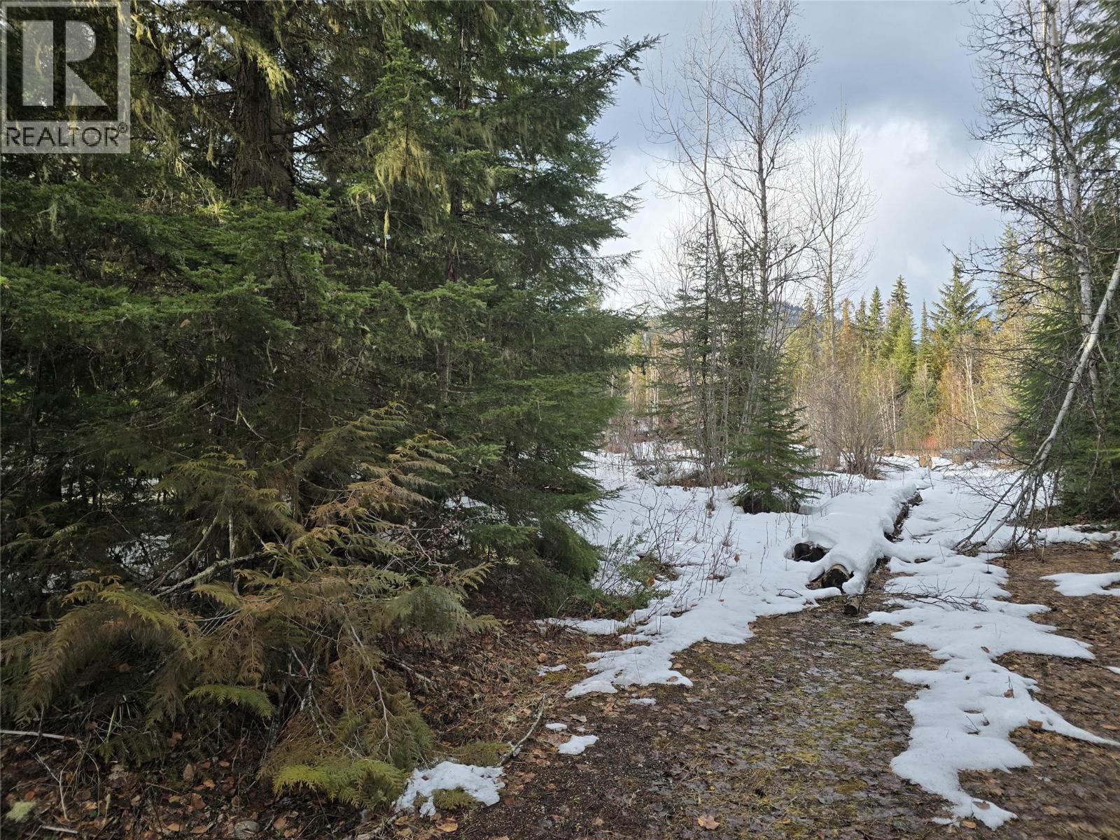 801 Bobbie Burns Road, Lumby, British Columbia  V0E 2G4 - Photo 2 - 10379307