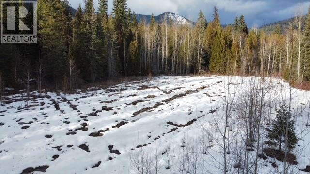 801 Bobbie Burns Road, Lumby, British Columbia  V0E 2G4 - Photo 5 - 10379307
