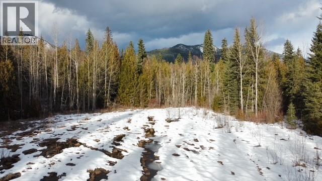 801 Bobbie Burns Road, Lumby, British Columbia  V0E 2G4 - Photo 6 - 10379307