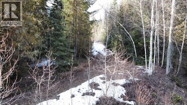 801 Bobbie Burns Road, Lumby, British Columbia  V0E 2G4 - Photo 8 - 10379307