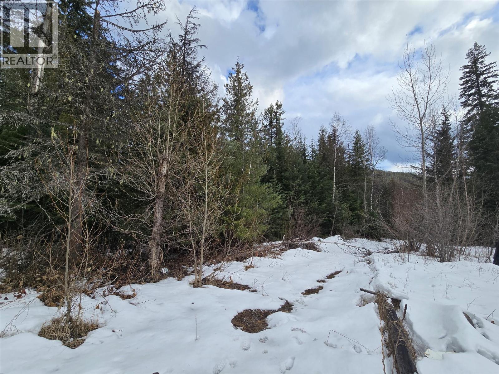 801 Bobbie Burns Road, Lumby, British Columbia  V0E 2G4 - Photo 9 - 10379307