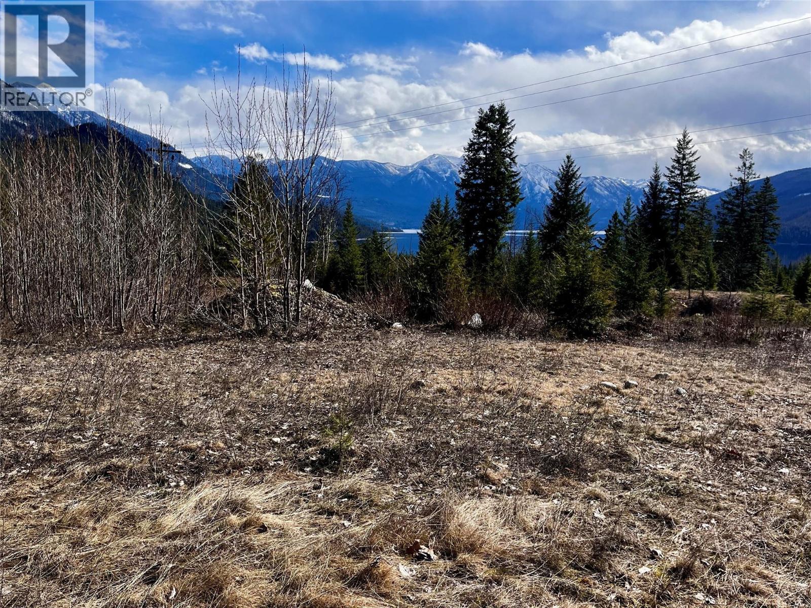 247 Fullmoon Road, Rosebery, British Columbia  V0G 1S1 - Photo 14 - 10379142