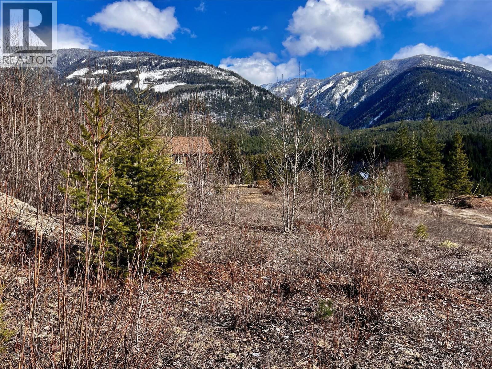 247 Fullmoon Road, Rosebery, British Columbia  V0G 1S1 - Photo 21 - 10379142