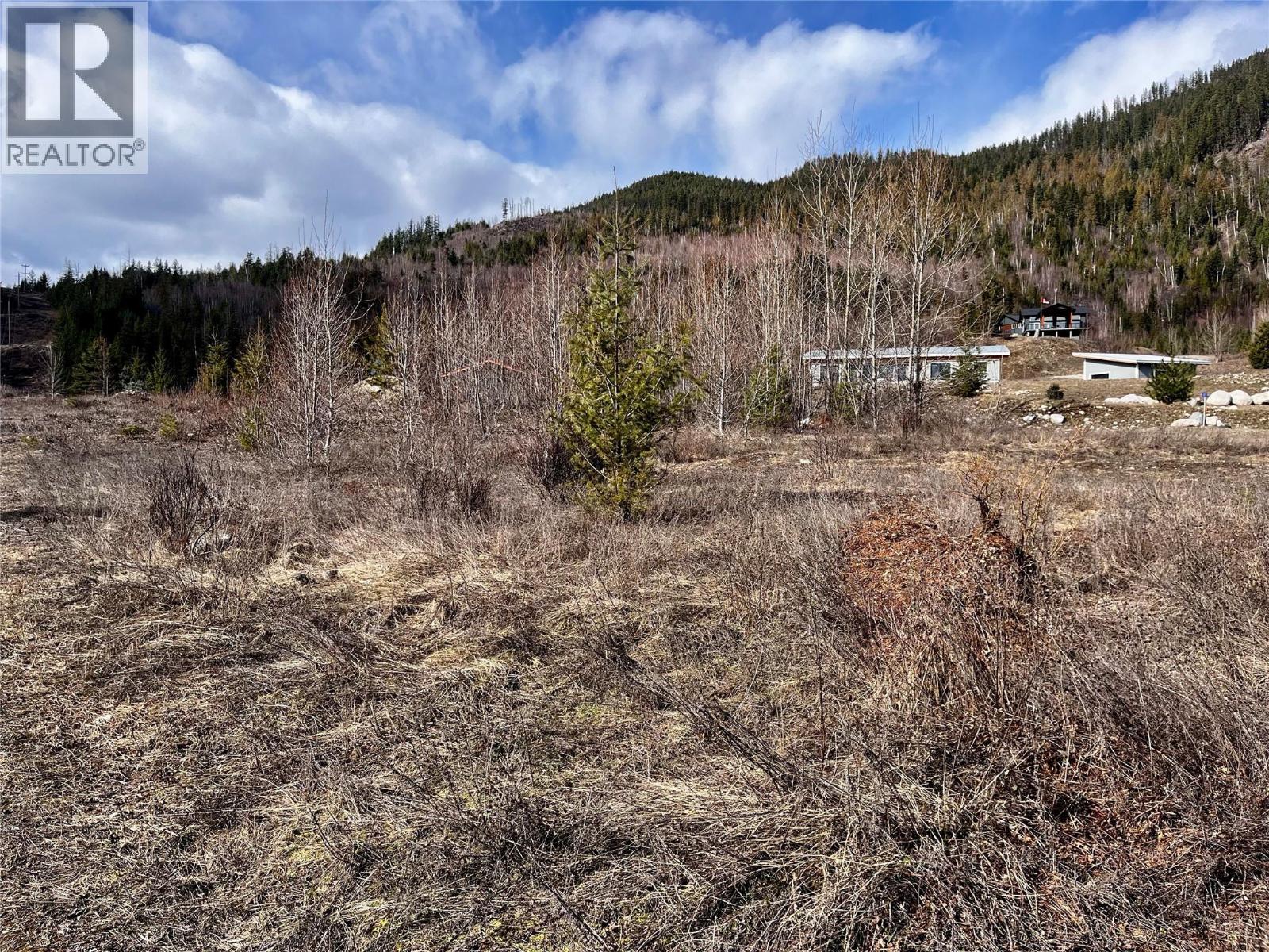 247 Fullmoon Road, Rosebery, British Columbia  V0G 1S1 - Photo 22 - 10379142