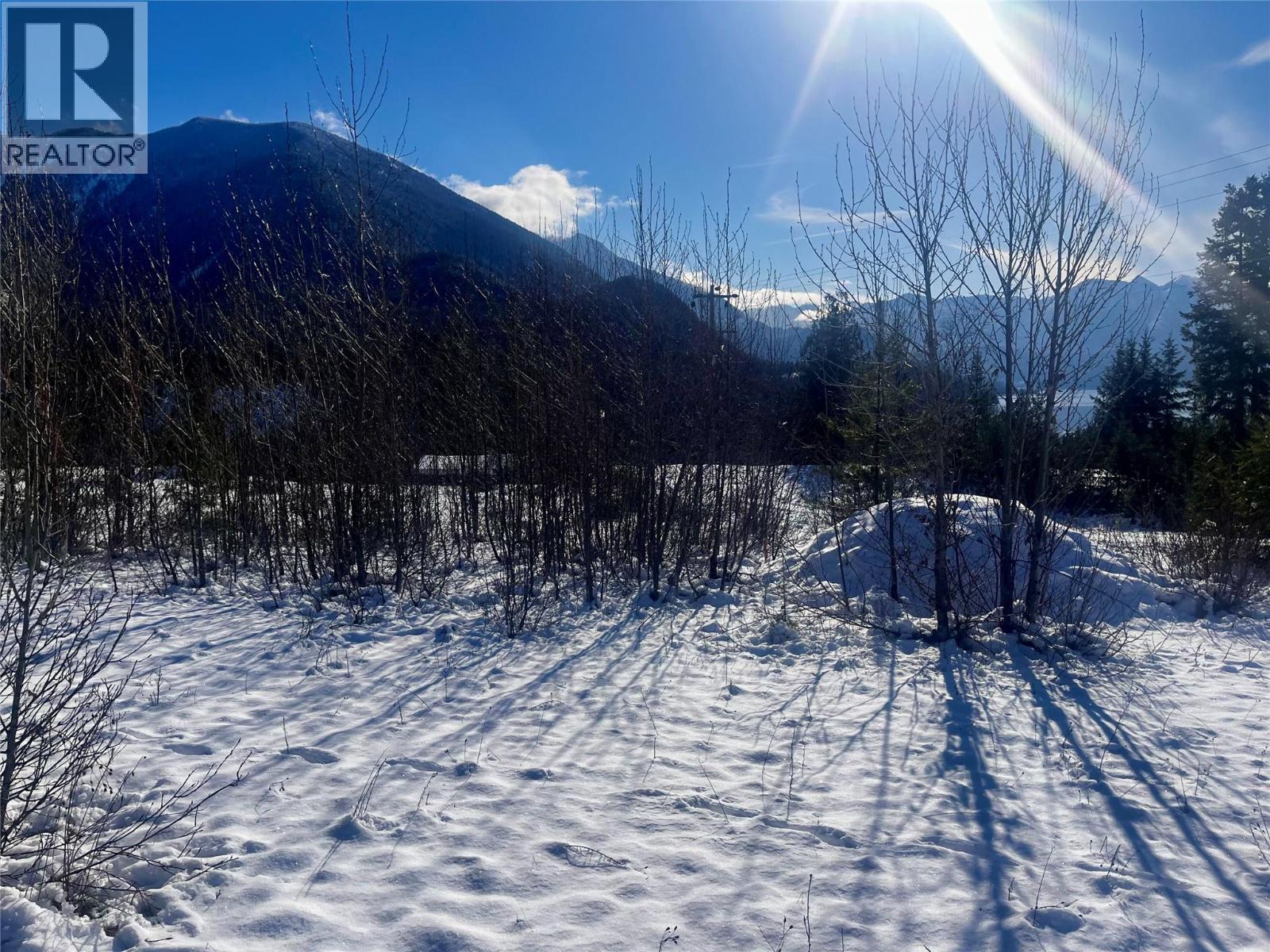 247 Fullmoon Road, Rosebery, British Columbia  V0G 1S1 - Photo 24 - 10379142