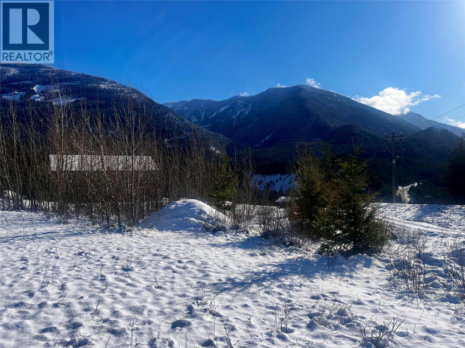 247 Fullmoon Road, Rosebery, British Columbia  V0G 1S1 - Photo 26 - 10379142